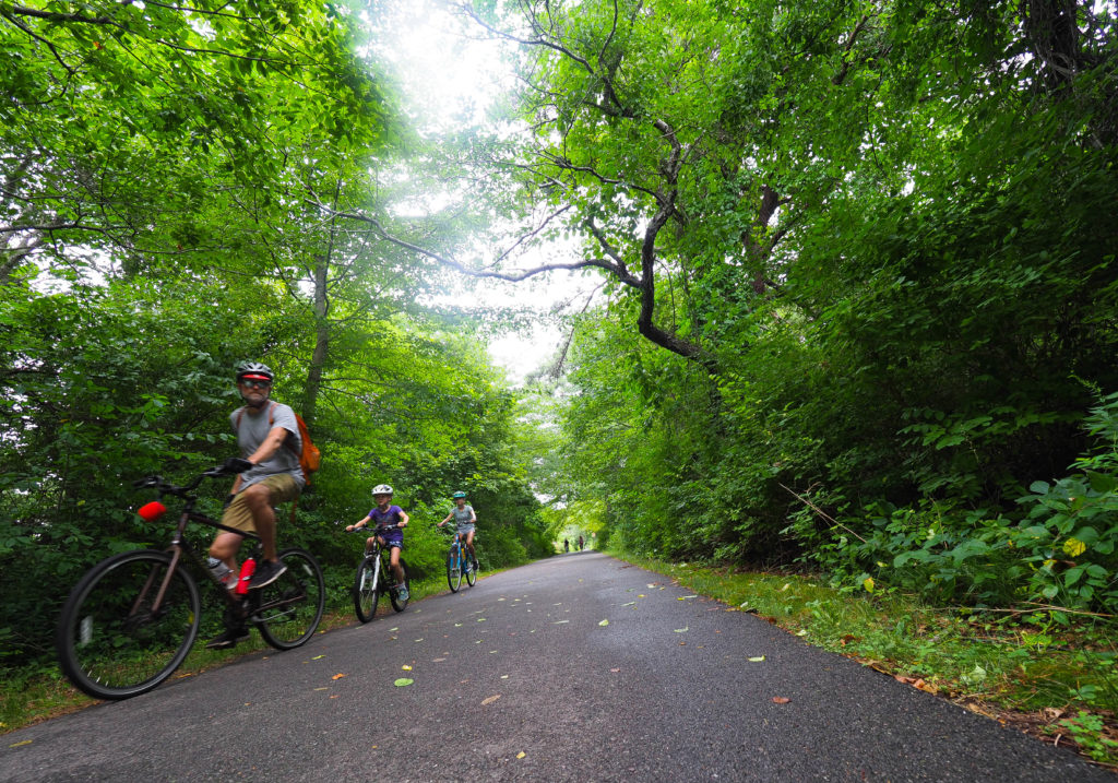 cape cod bicycles