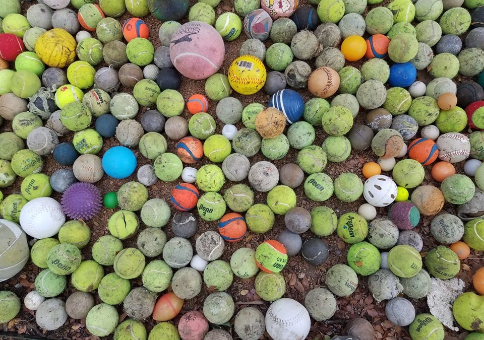 One Austin paddler pulled more than 500 balls from Lady Bird Lake