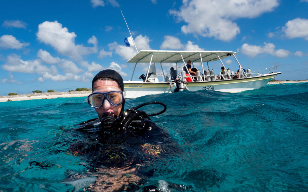 Dutch island of Bonaire serves up spectacular diving, plus a whole lot more