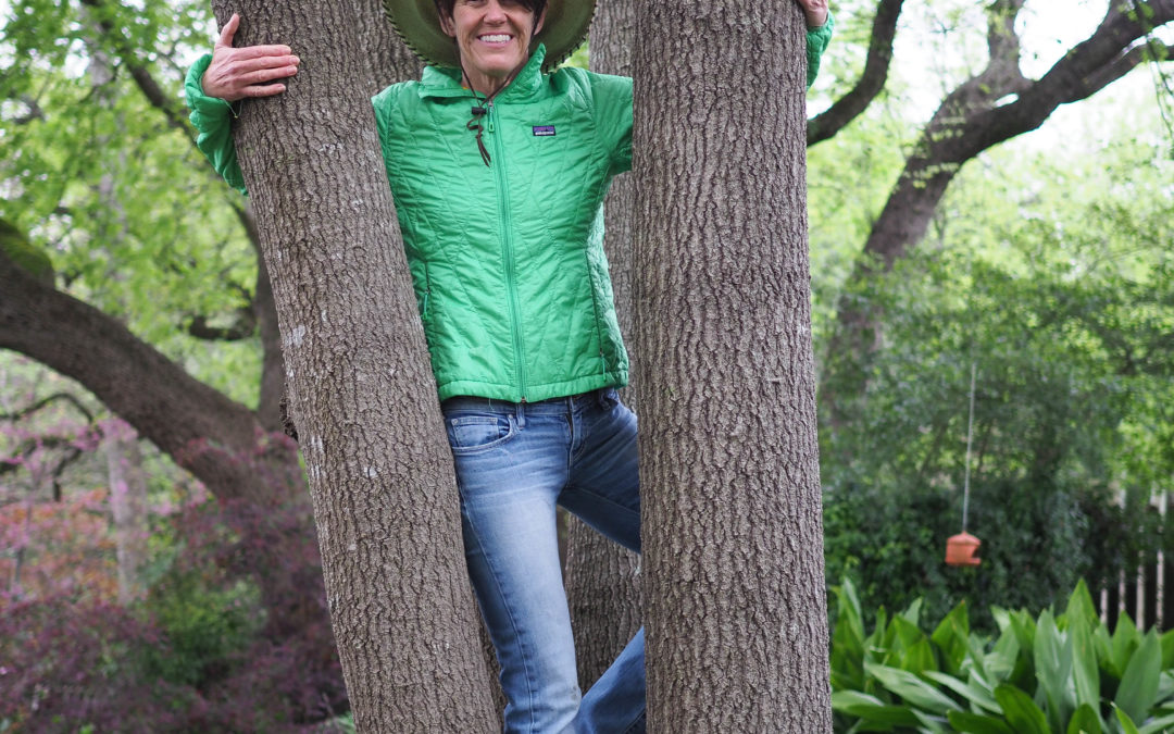 You shouldn’t hug people right now, but you can still hug trees