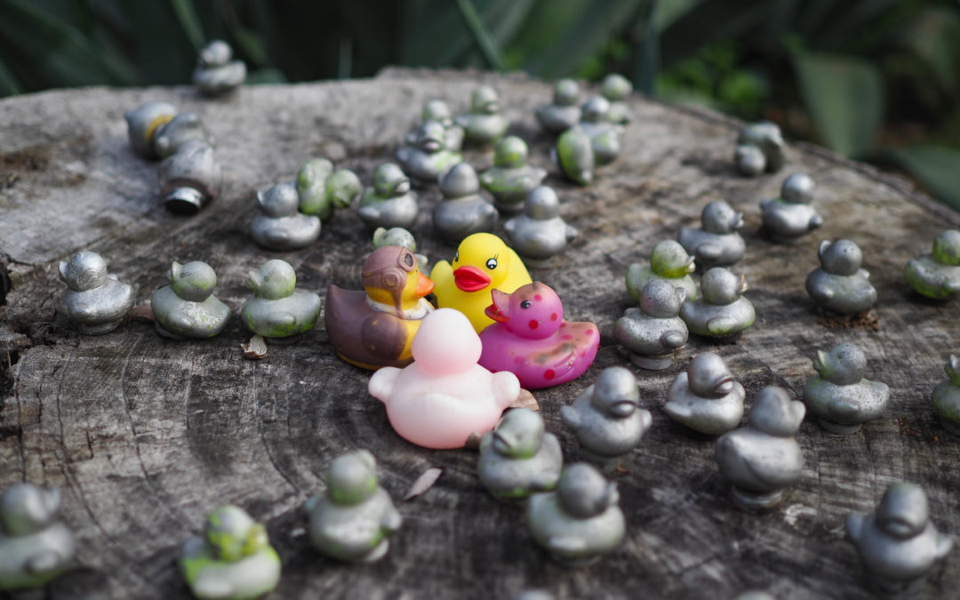 An Allandale scavenger hunt: Aliens, ducks, a giant spider and more!