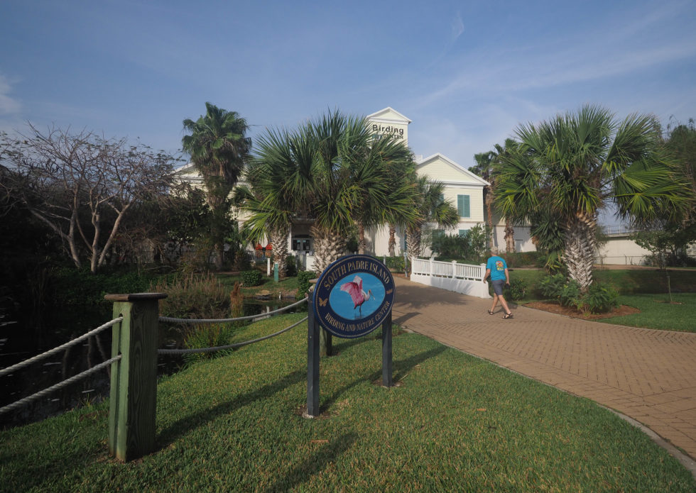 Stalking the big birds at South Padre Island Birding and Nature Center