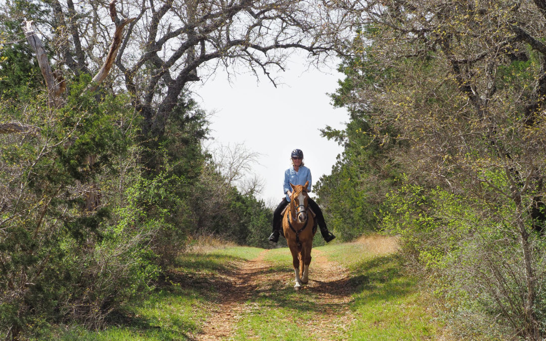 For a different perspective, ride a horse at Pedernales Falls State Park