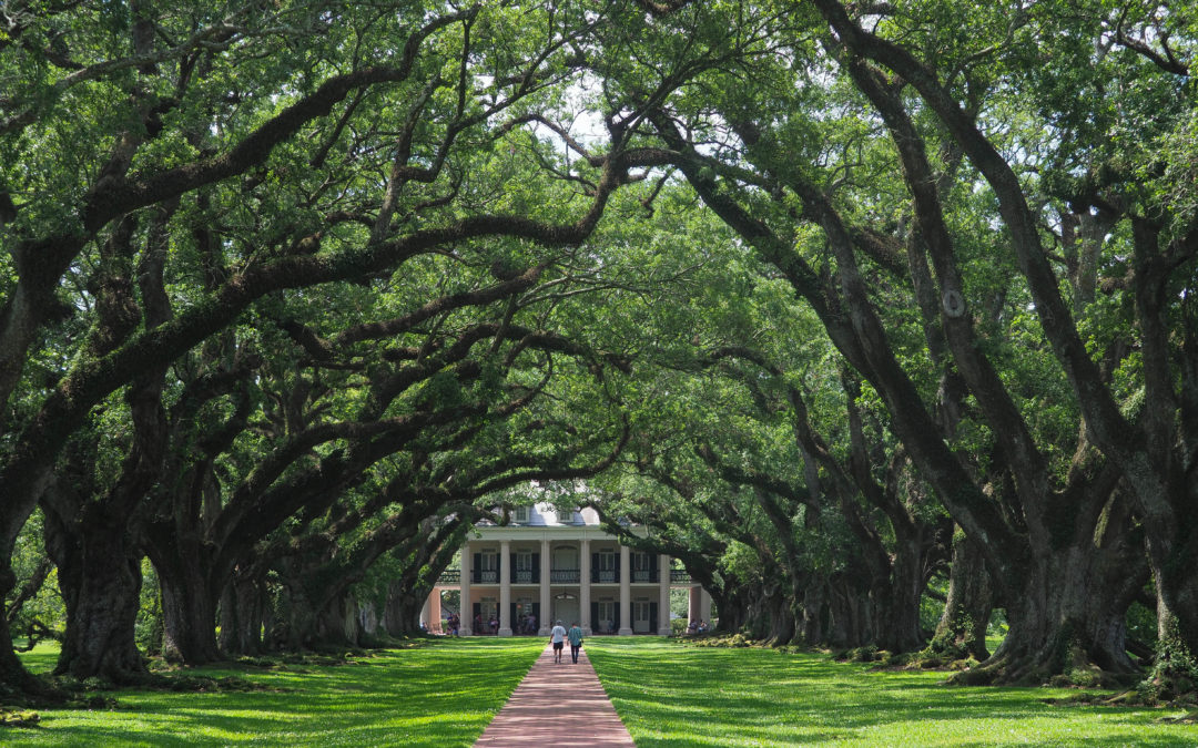 At Oak Alley Plantation in Louisiana, tours balance lives of slaves, wealthy owners