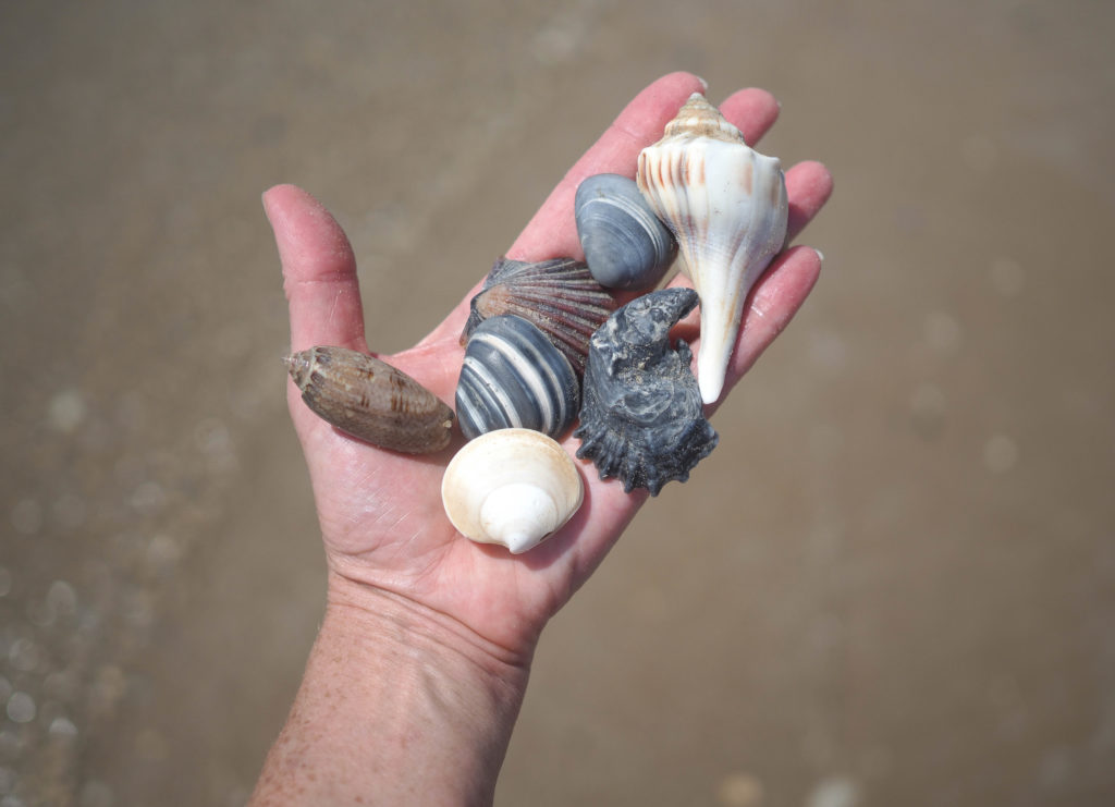 shelling in Texas